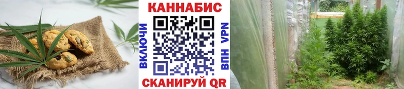 Cannafood марихуана  blacksprut как зайти  Тбилисская  продажа наркотиков 